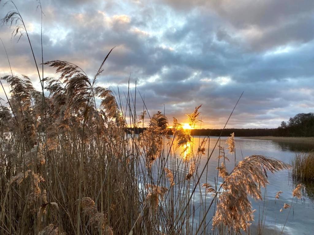 Ferienhaus Direkt Am See Uckermark Templin Εξωτερικό φωτογραφία
