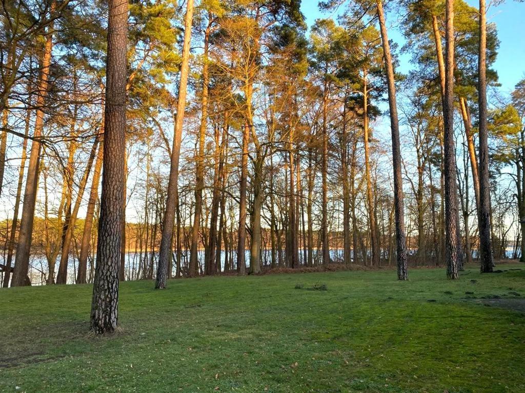 Ferienhaus Direkt Am See Uckermark Templin Εξωτερικό φωτογραφία